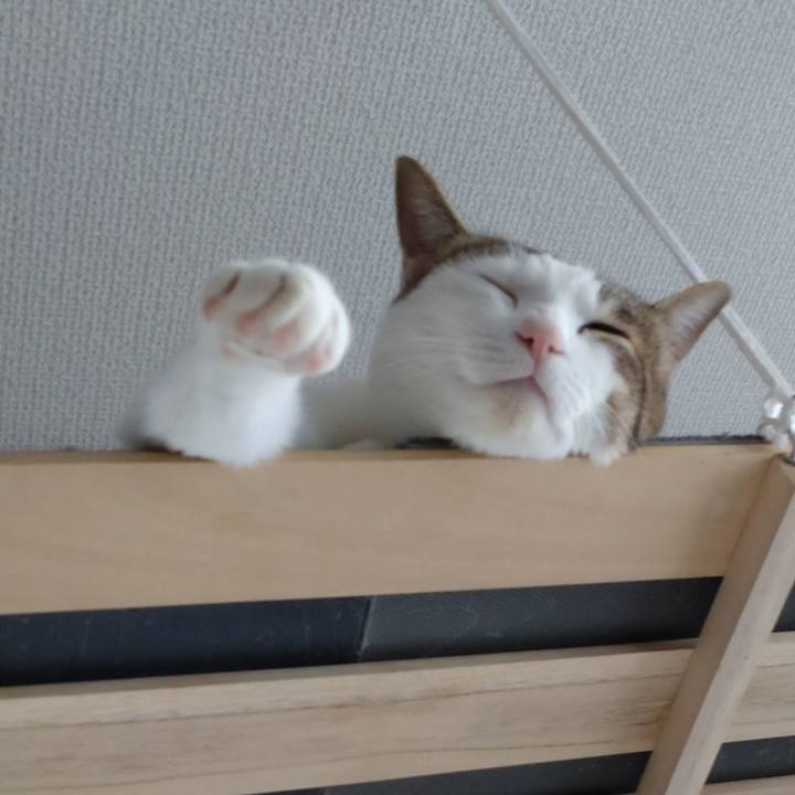 7f709de6 3e09 4743 a8b7 439bfac09427 1672725553675