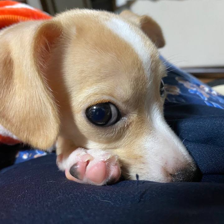 7f70f0e5 3489 487d 809a 61d388287079 1663679249104