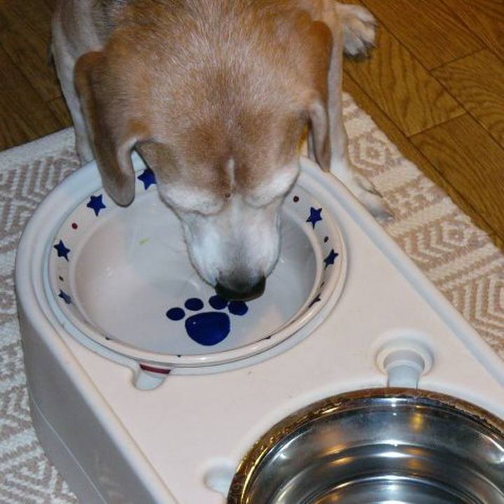 7f710d07 5a3e 4302 a0a0 be33c79e27ab 1660004669955