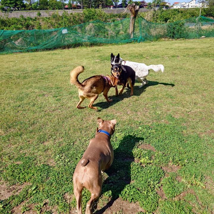 7f713744 61af 4306 954b 8fdea0dd936b 1746254176871