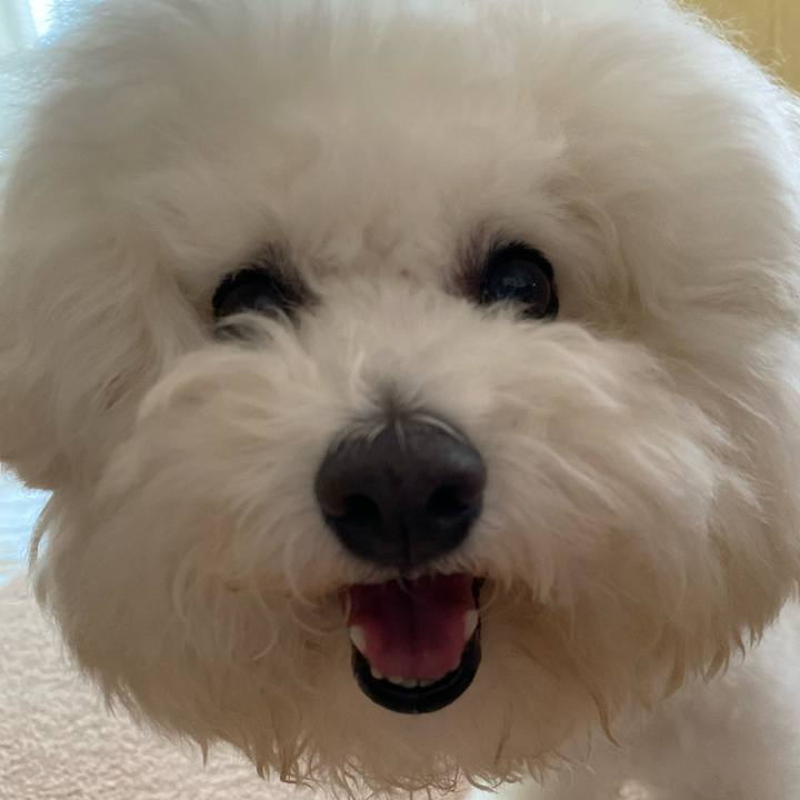 7f714edb 7bdd 4051 bed0 8a22cd7fcfdb 1654155975125