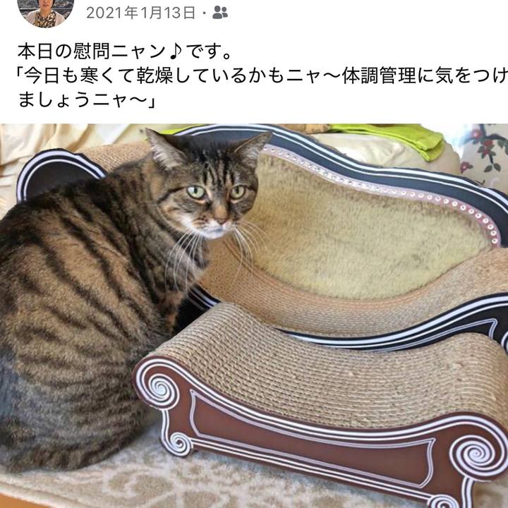 7f7158be c15c 42c7 8f50 8f93a99626b9 1768306721921