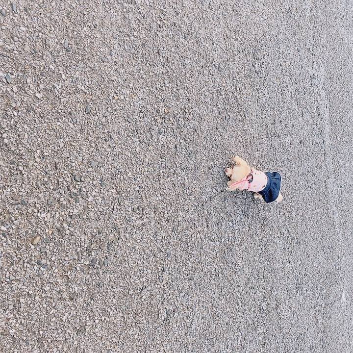 7f719248 75b2 4c4d bccd dd335528dd2d 1619775553915