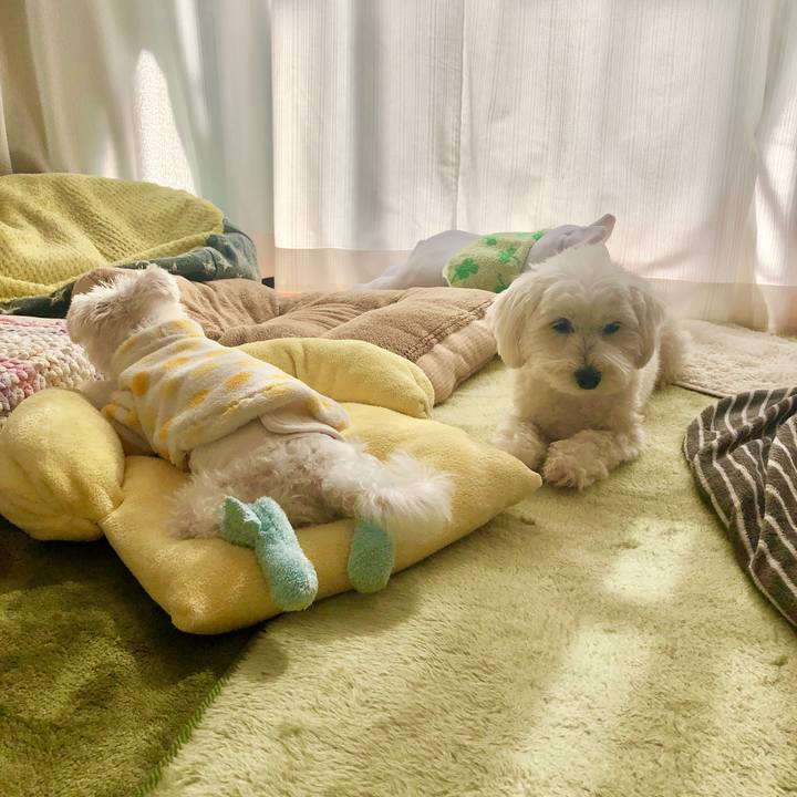 7f71b178 387a 4db3 868d d07af38f81d8 1583041357439