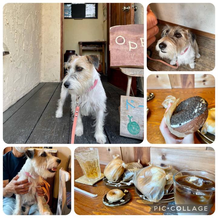 7f722a3e 9aa2 4c30 864a 3079219eb42f 1663255644549