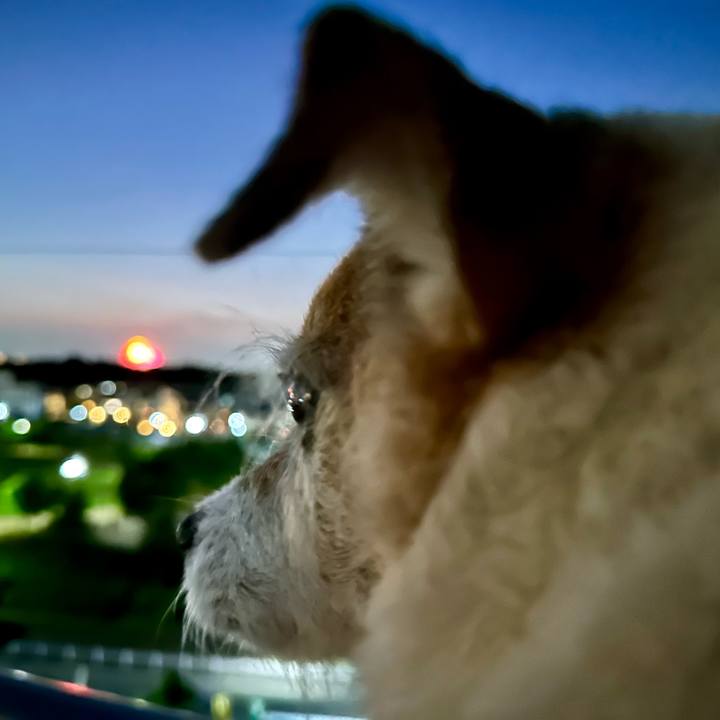 7f722fbb 0bfb 4211 9ee7 08a72dba309f 1722682225899