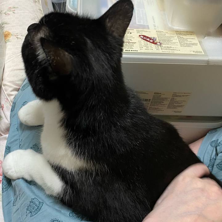 7f724cb8 3146 4b7e a850 532c8abae885 1725456804846