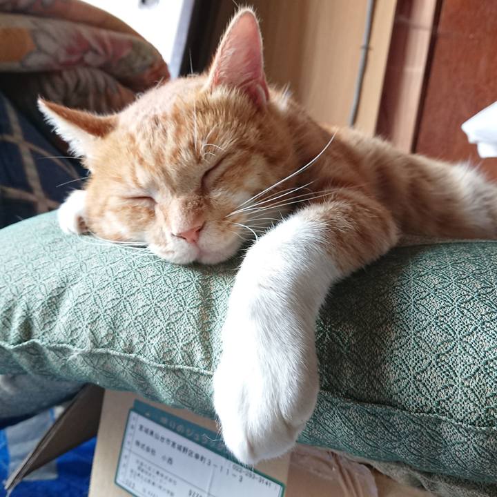 7f726947 7009 40ae 8e85 109d5f9196d7 1567233482286