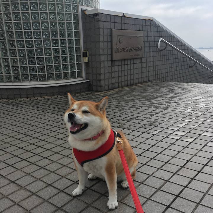 7f7273e3 c228 4bab a14b ec0979e64f64 1604377831279