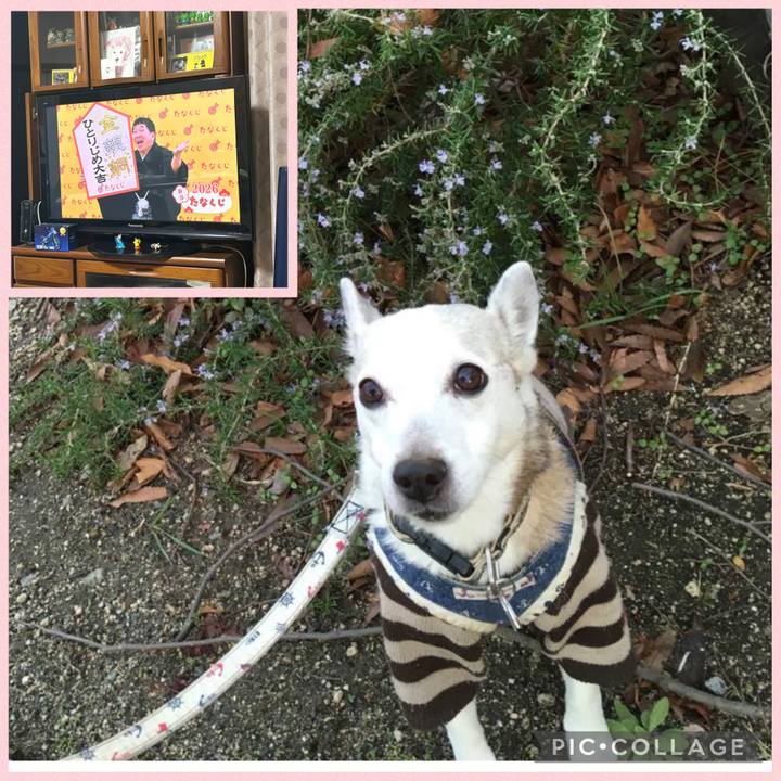 7f727b5e 8b56 420d be24 cce5a00cdd85 1767217002430