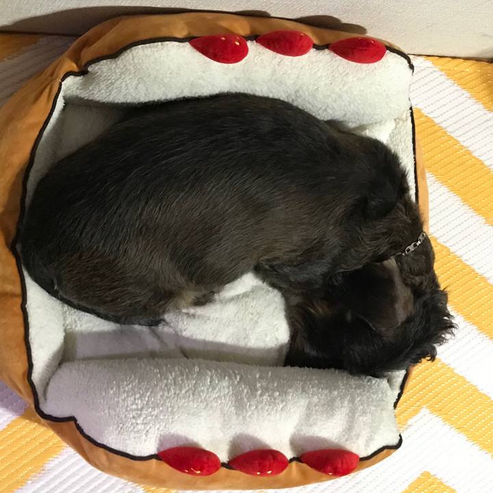 7f7282b9 7305 4785 b965 0a32d43fd04a 1515929929095