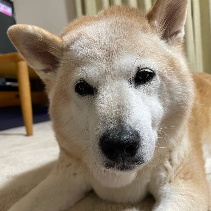 7f7282d0 fdab 4d91 8b3b bc3c28b61dd2 1698828994848