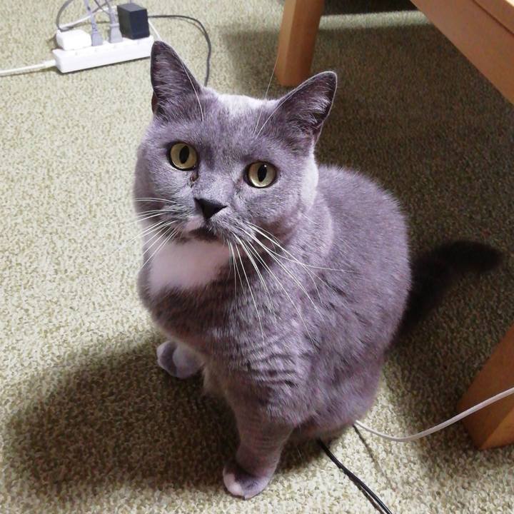 7f72c500 980b 4953 9091 4dd4a66e8c9c 1762723778324