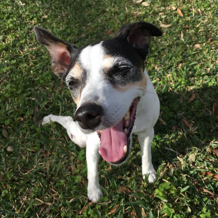 7f72ca91 a2cd 4bbc bd41 ee1575951fd2 1773444189672