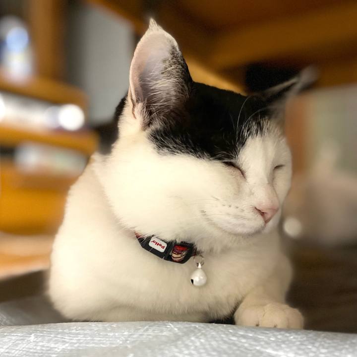 7f72dec1 3243 441d 8737 f65ea7839728 1651178800504