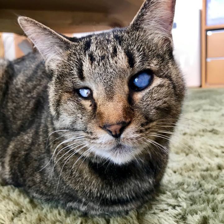 7f72dfdd b5fb 4f5b bf4f dc6c38e3c8d7 1555236364806