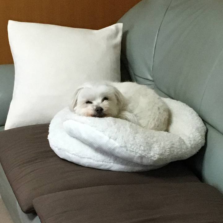 7f72fd4f 5cd7 4a3c 8687 db67601fe537 1616894764747