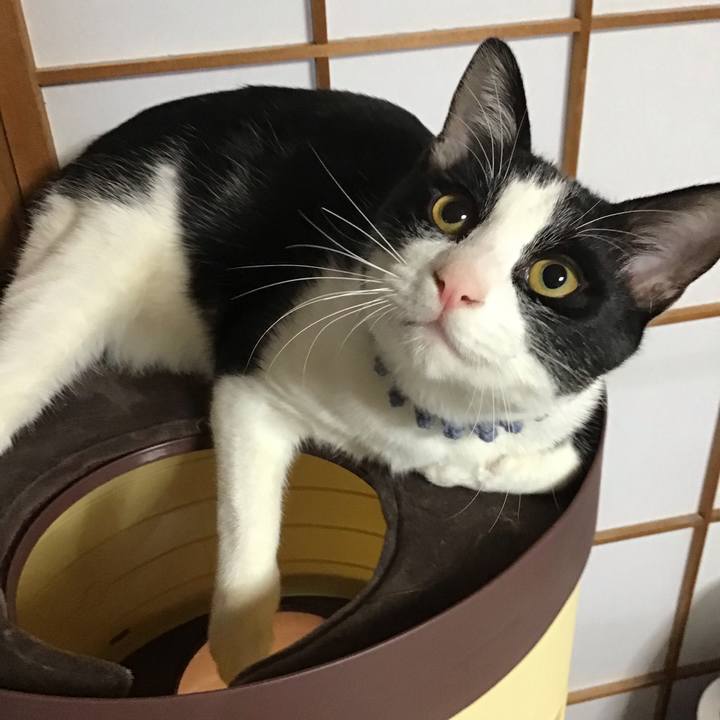 7f730588 1c53 4b33 b0a8 36e16404681d 1638918321939