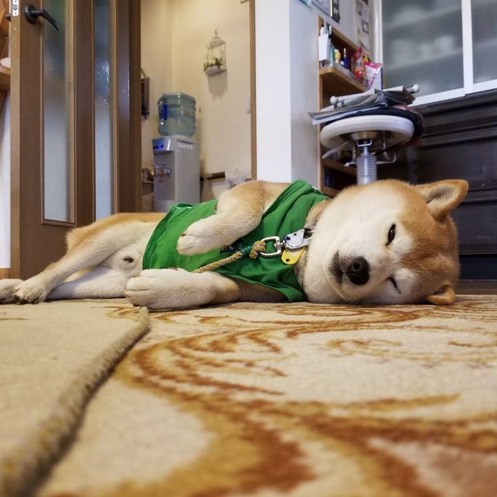 7f730e77 d209 436f be01 0721b539f042 1586391551072