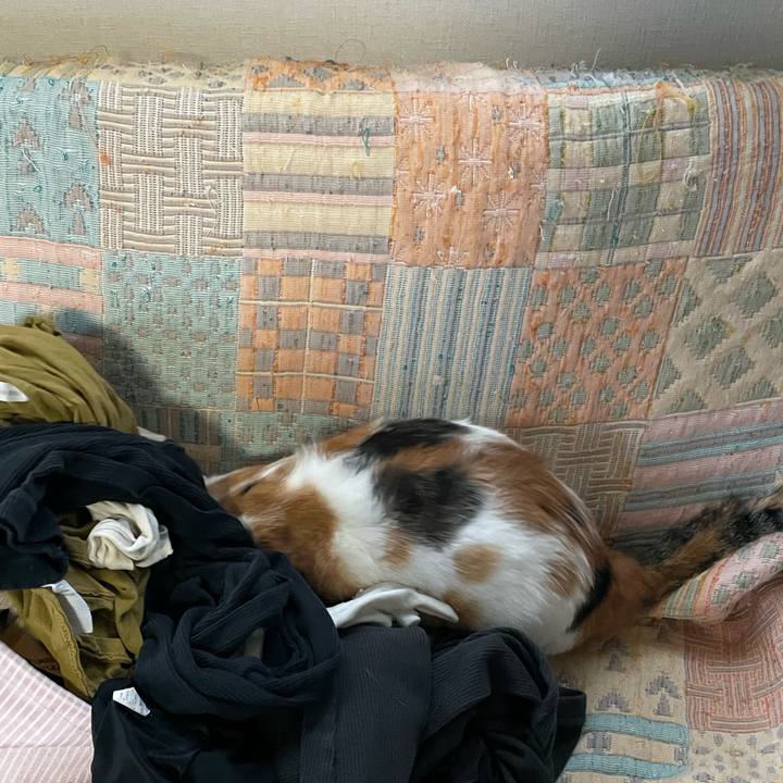 7f732f99 423d 4157 bd5c 27937e80ac49 1662002530767