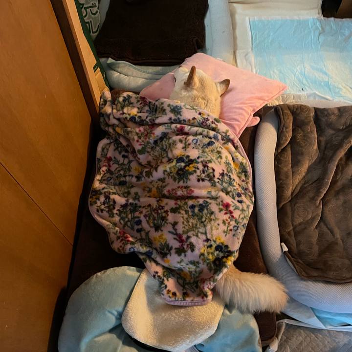 7f732f9b 4d36 4445 a7f8 b489104e42c9 1639232218993