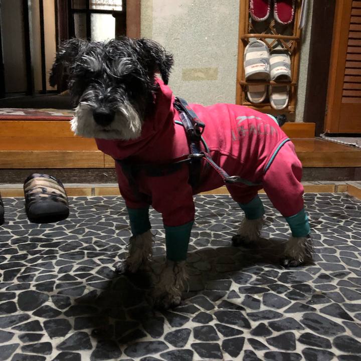 7f7358fe 9b8b 4f87 aba8 62a0173e1f0b 1670488912955