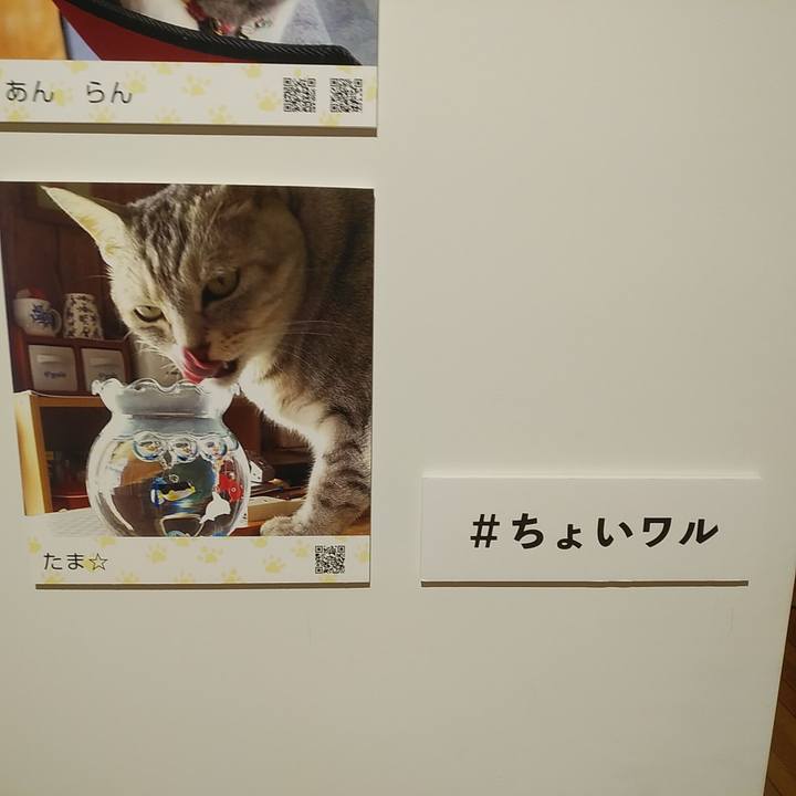 7f7364f1 2975 4089 bbdd 19a13953e98f 1591351905943