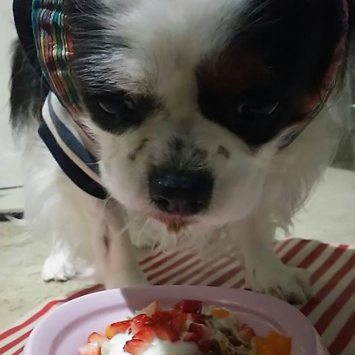 7f739558 457d 48ef b1a2 705c866c03f1 1546778597098