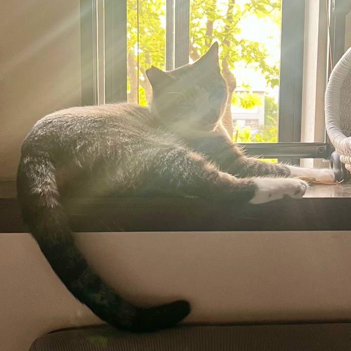 7f73958d 6d22 4047 899f 9db1d130bf5c 1758622911995