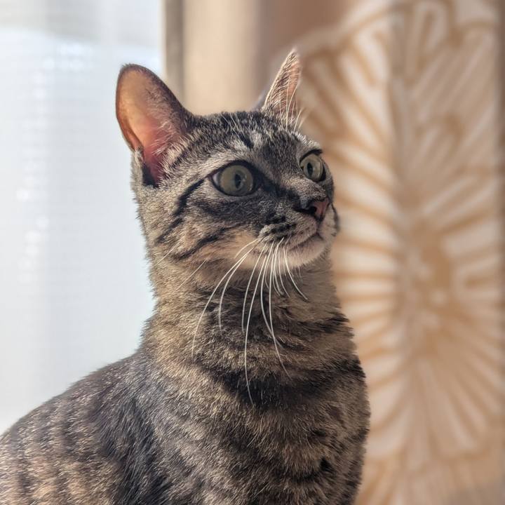 7f73df51 c1e2 4fa9 994d d966ec965a6f 1730014348342