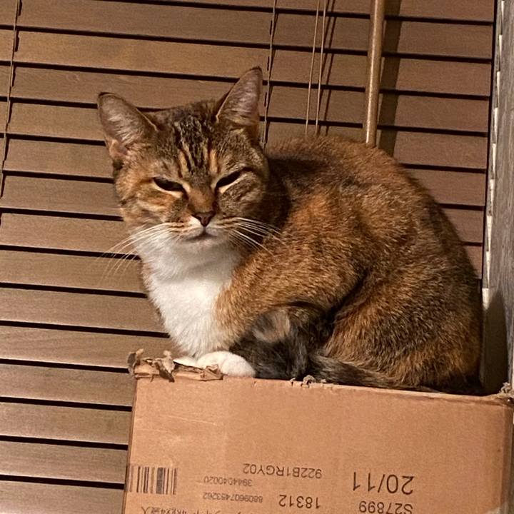 7f74073c bf54 4af7 a6c6 c52344457b0c 1577022078624