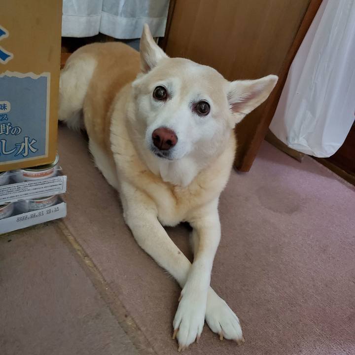 7f746772 512c 4960 a2bd bd512899462e 1595070705785