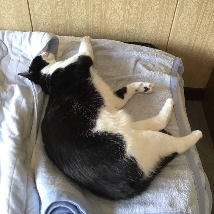 7f74849a f83b 465b 8ce4 22192d8e86b8 1687354320135