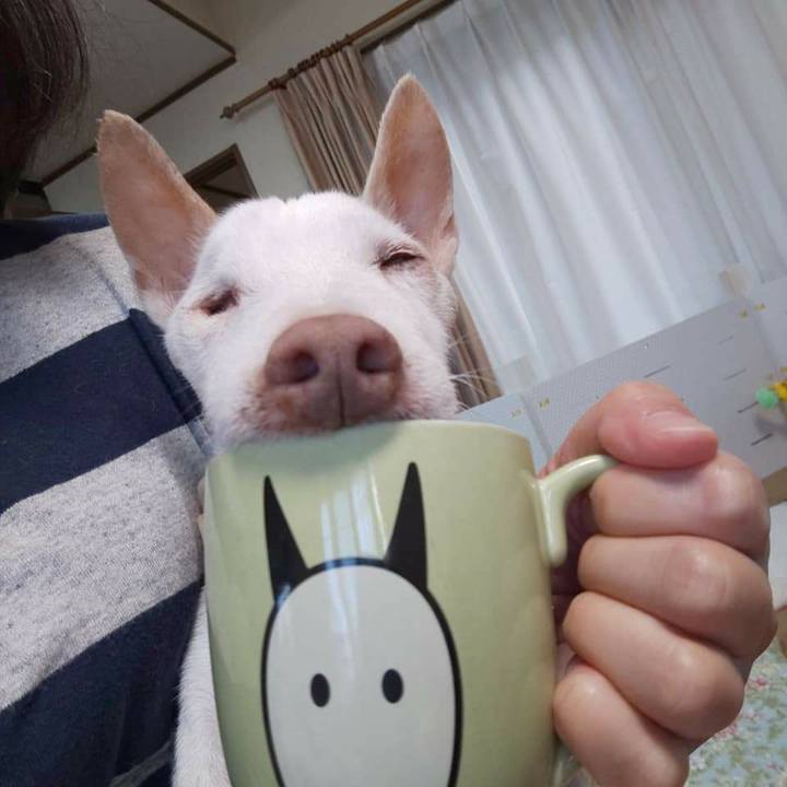 7f74a704 cf14 47de ba30 cf229c085df3 1634254982601