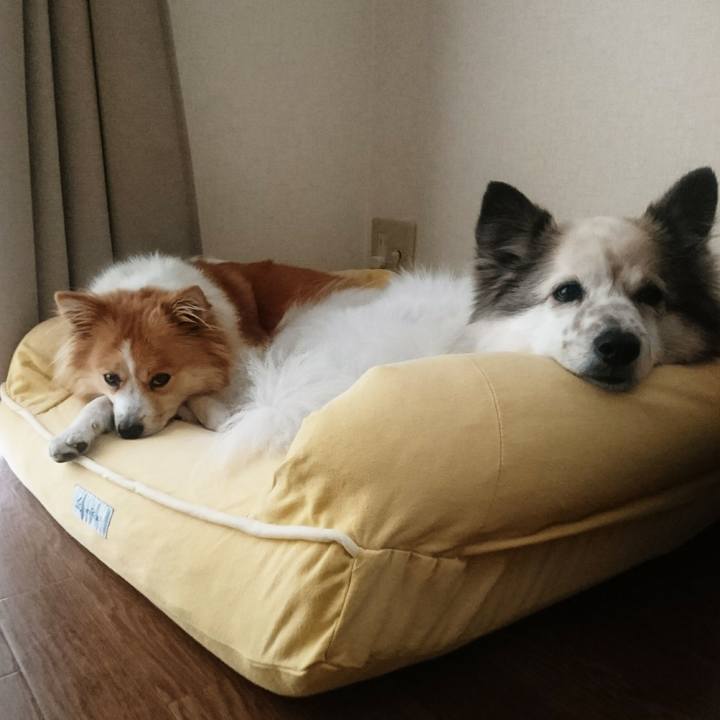 7f74a825 2376 48c8 8246 561f11eba5f0 1581685457170