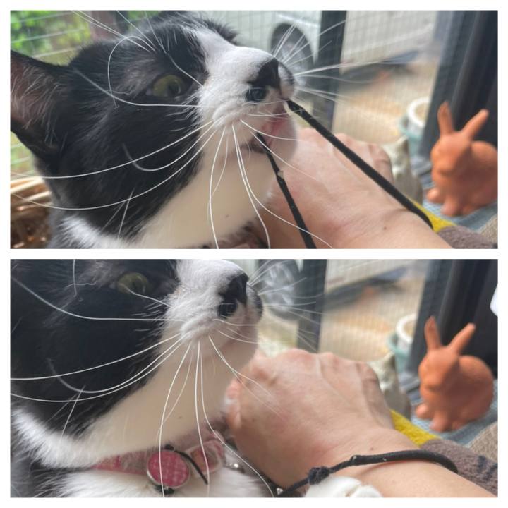 7f74b7dc eede 4a6b 940a d8011c0e1769 1653203530880