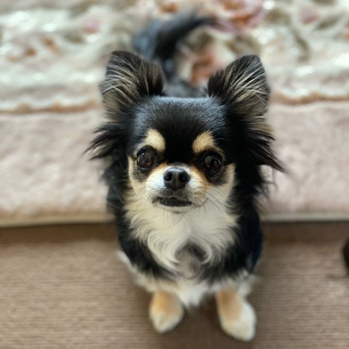 7f74c095 a47d 49c2 9658 97b3e5ca12b9 1615369361940