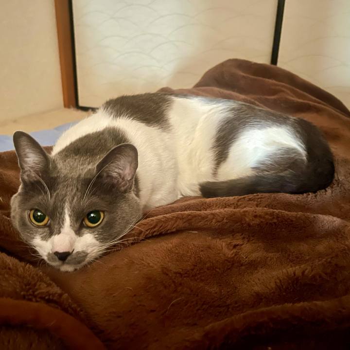 7f74def6 08bb 43fb 9c09 298e4cc2e933 1635558588418