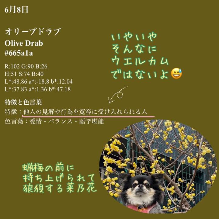 7f7509e0 cc0b 47a3 8c83 847dffac8d78 1644733415419