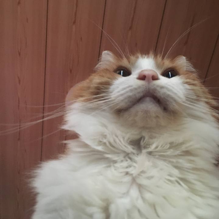 7f7537e8 b568 479e a06e 267730b1a5ab 1573515849400