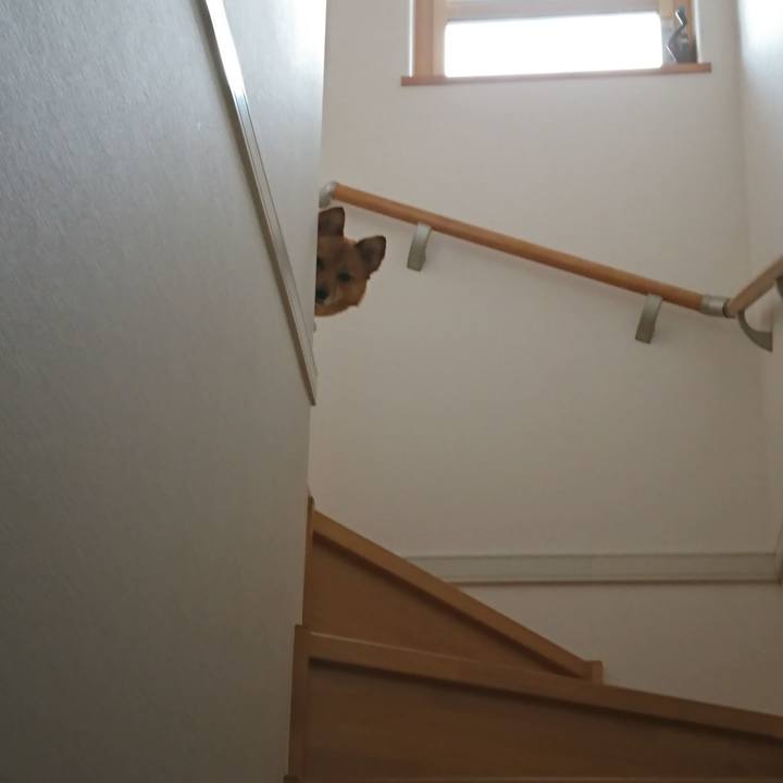 7f75677b 7ce6 4d2d b710 cc88216dddcc 1522708026477