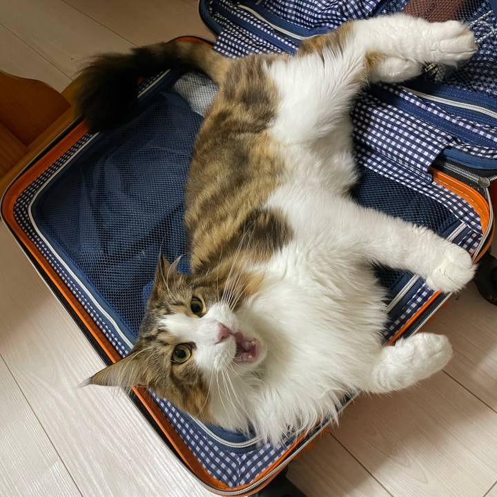 7f759ef4 6b7c 497b b2ca dfdea5660b1b 1663705179523