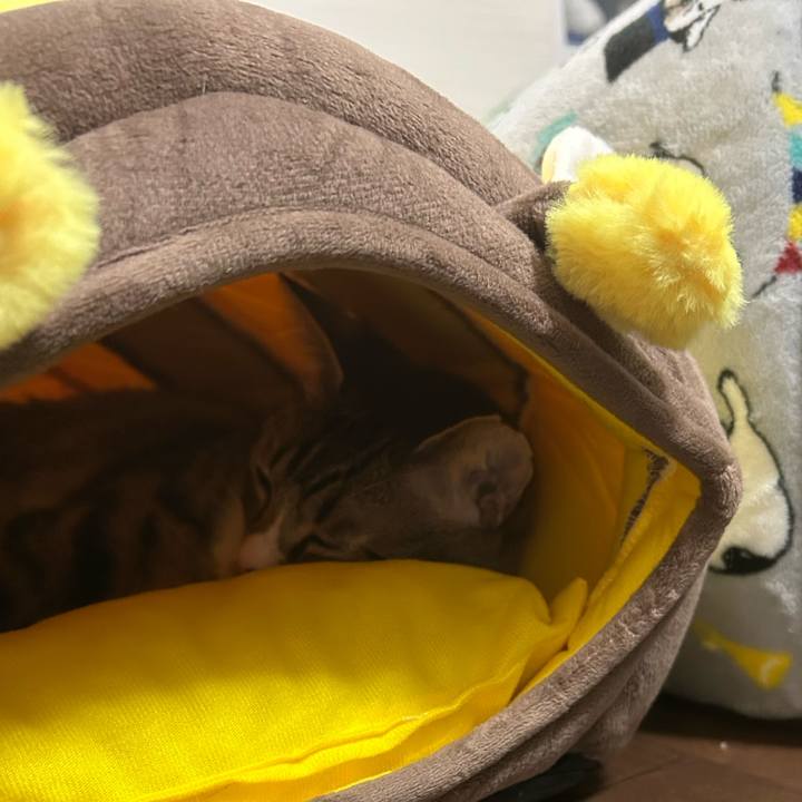 7f7614ed f9f0 4e11 91ca 9c22afe03f32 1760959020423