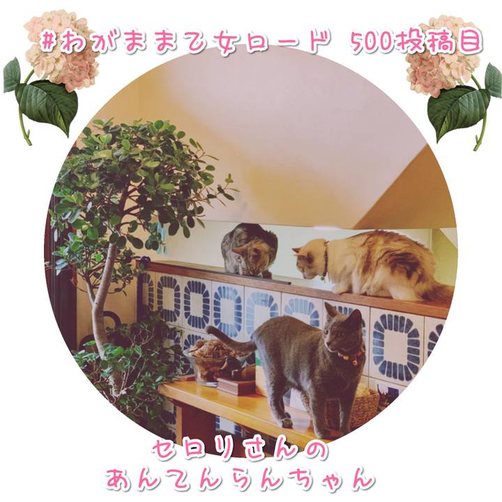 7f761e7a 8590 45b5 b117 2748cf2e9af6 1569747092838