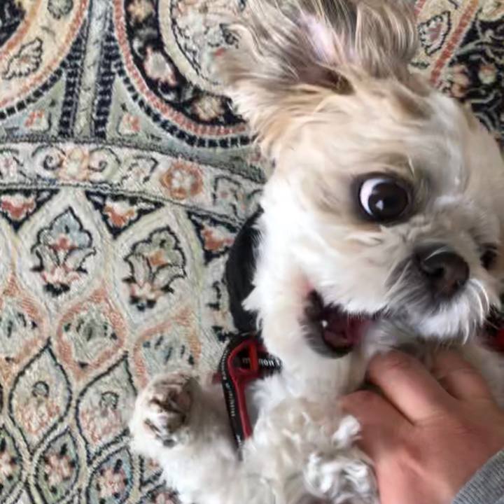 7f762671 3e4f 4c7a bbfe 27312dcf33ba 1583099529034