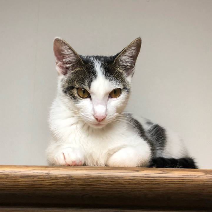 7f764c70 868f 4e18 9b13 574ecf130479 1570618324267