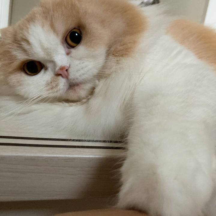 7f768477 36ae 4a30 b6ce 11ac1db59c65 1600070888645