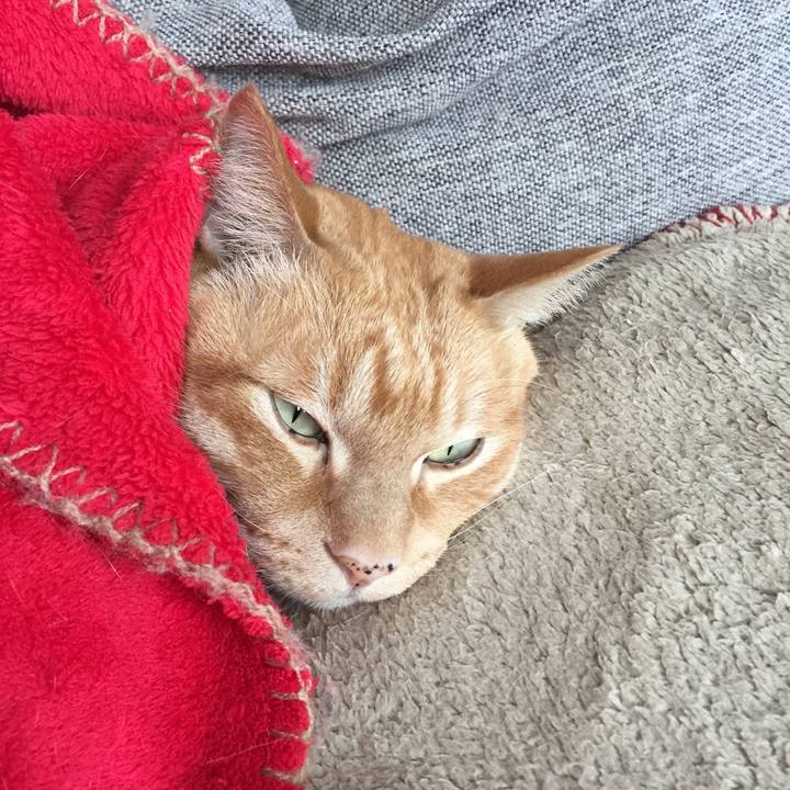 7f768677 d7b3 4b1c 8577 bc4432a543a1 1520867175845