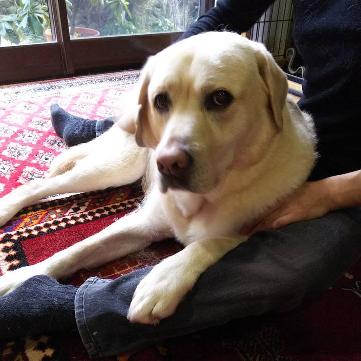 7f769637 d87c 4037 9a6a 214e5398f77c 1579417268761