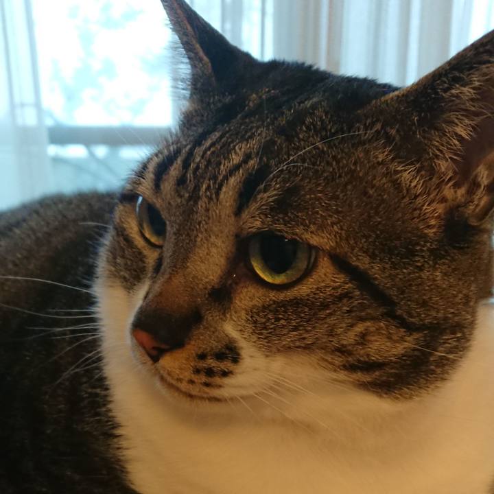 7f7699f0 dde5 41ca 89df 34b1da616eac 1539607994127